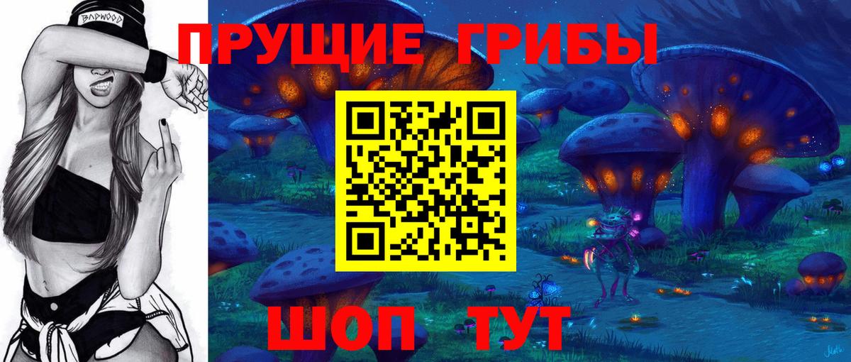 Псилоцибиновые грибы Cubensis Бугуруслан