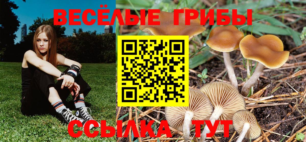 Бугуруслан  Галлюциногенные грибы ЛСД  Галлюциногенные грибы Psilocybe  Вход с VPN 